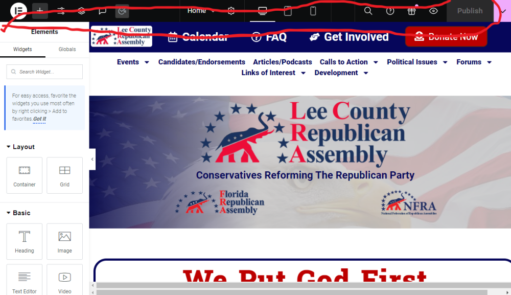 brave_screenshot_leerepublican.com (54).png