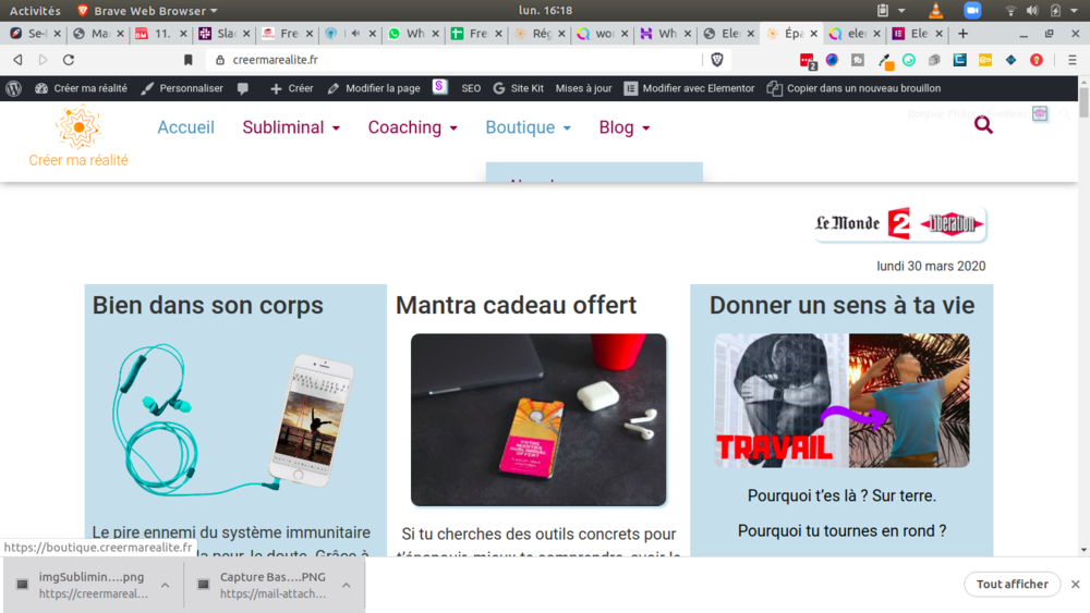 Capture d’écran de 2020-03-30 16-18-59.png
