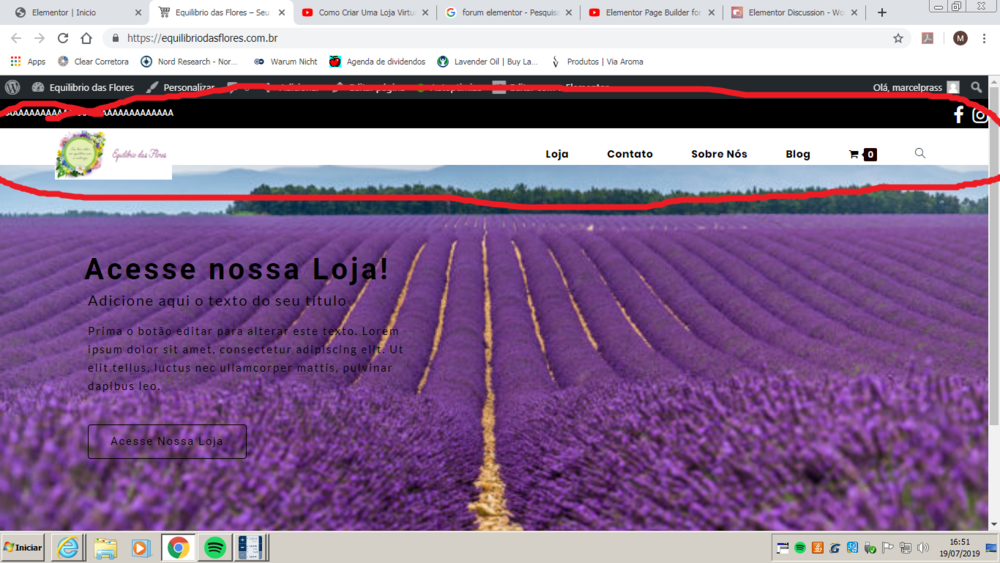 site.png