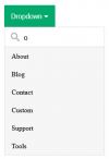 Screenshot 2021-08-18 at 17-38-11 How To Search for Items in a Dropdown.png