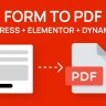 How to make a PDF from Elementor form with Dynamico